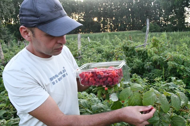 Boş Araziyi Mucizevi Meyve Bahçesine Dönüştürdü