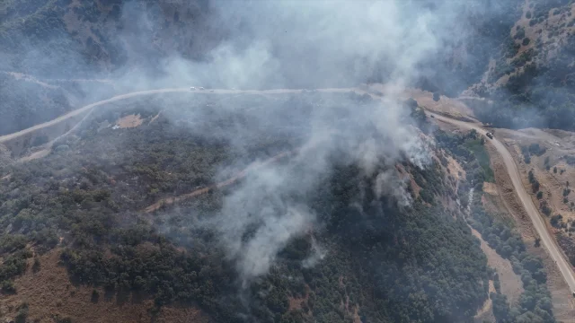 Hakkari'de Rüzgarın Etkisiyle Büyüyen Yangını Söndürme Mücad...