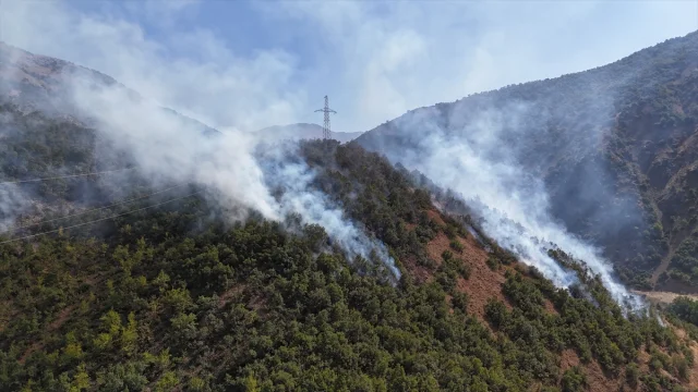 Hakkari'de Rüzgarın Etkisiyle Büyüyen Yangını Söndürme Mücadelesi