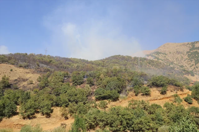 Hakkari'de Rüzgarın Etkisiyle Büyüyen Yangını Söndürme Mücadelesi