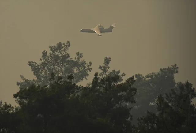 Menderes'te Korkutan Yangın: Tarım Arazisinden Ormana Sıçrad...