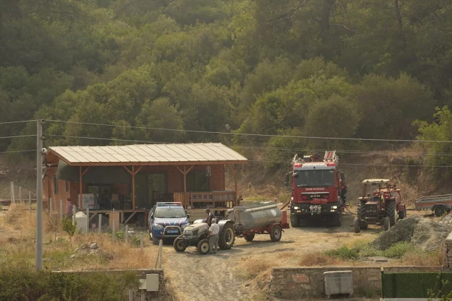 Menderes'te Korkutan Yangın: Tarım Arazisinden Ormana Sıçradı
