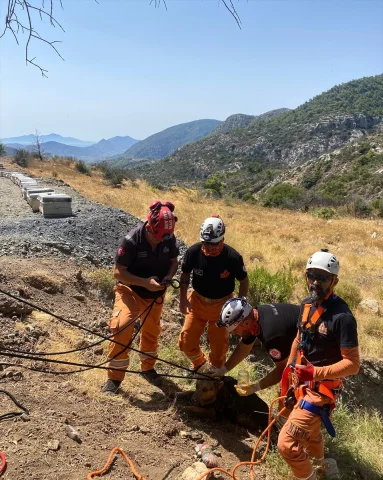 Datça'da Kuyudaki Mucize Köpek Kurtarma Operasyonu