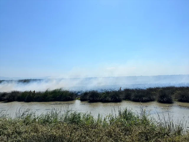 Kızılırmak Deltası Kuş Cenneti'nde Yangın Şoku