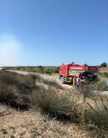 Kızılırmak Deltası Kuş Cenneti'nde Yangın Şoku