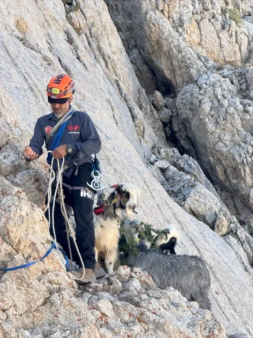 Antalya'da Heyecanlı Kurtarma Operasyonu: Dağda Mahsur Kalan Keçiler Nasıl Kurtarıldı?