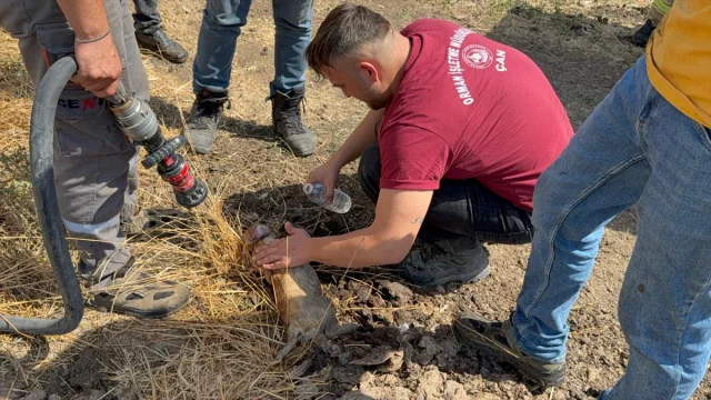 Çanakkale'de Ahır Yangını: İtfaiye Kurtarma Hikayeleriyle Dolu