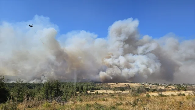 Çanakkale'de Orman Yangını Herkesi Harekete Geçirdi