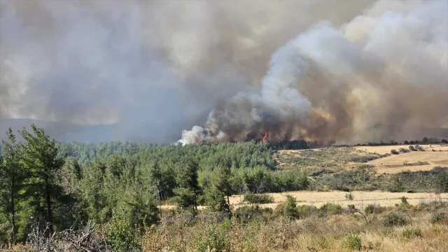 Çanakkale'de Orman Yangını Herkesi Harekete Geçirdi