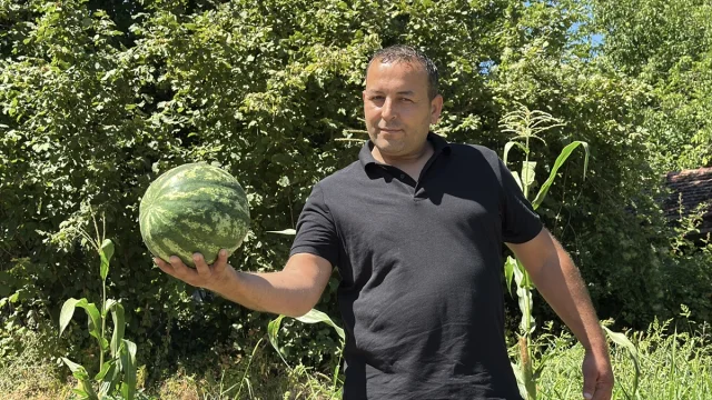 Karabük'te Karpuz Hasadı Etkinliği Renkli Görüntülere Sahne Oldu