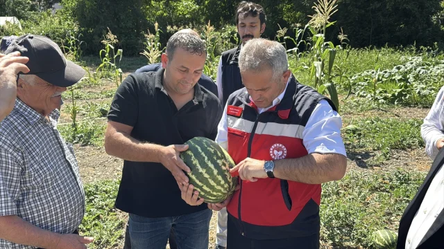 Karabük'te Karpuz Hasadı Etkinliği Renkli Görüntülere Sahne Oldu