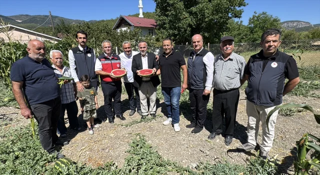 Karabük'te Karpuz Hasadı Etkinliği Renkli Görüntülere Sahne Oldu