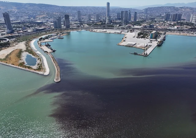 İzmir Körfezi'nde Balık Ölümleri: Turan Sahili Alarm Veriyor