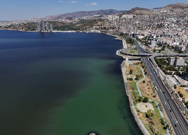 İzmir Körfezi'nde Balık Ölümleri: Turan Sahili Alarm Veriyor