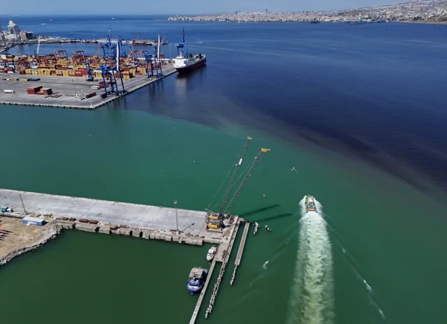İzmir Körfezi'nde Balık Ölümleri: Turan Sahili Alarm Veriyor