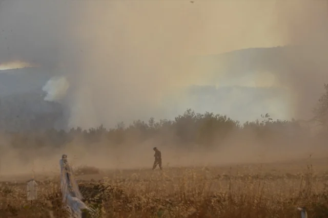Çanakkale'de Orman Yangını Herkesi Harekete Geçirdi
