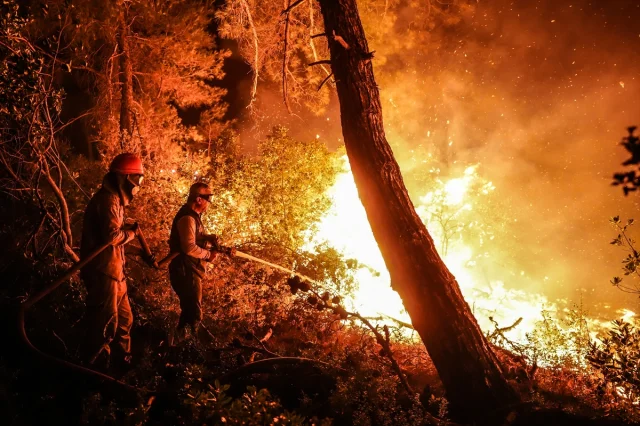 Çanakkale'de Orman Yangını Herkesi Harekete Geçirdi