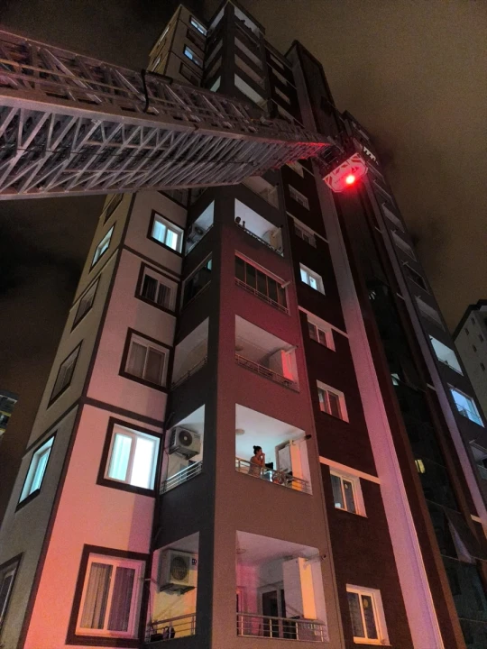 Evcil Hayvan Dedikodusu Tokat Gibi Gerçek