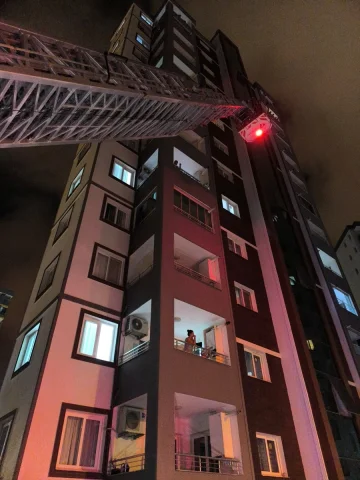 Evcil Hayvan Dedikodusu Tokat Gibi Gerçek