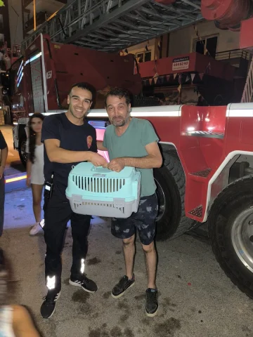 Evcil Hayvan Dedikodusu Tokat Gibi Gerçek