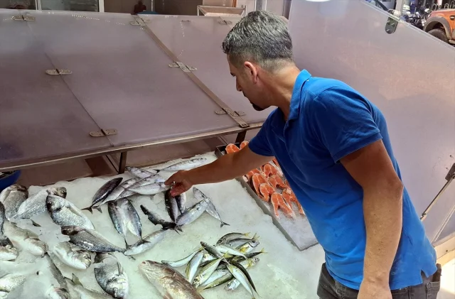 Sinop'ta Palamut Avı Hayal Kırıklığı Yarattı: Tanesi 350 Lir...