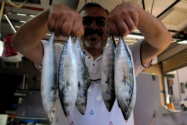 Sinop'ta Palamut Avı Hayal Kırıklığı Yarattı: Tanesi 350 Lira