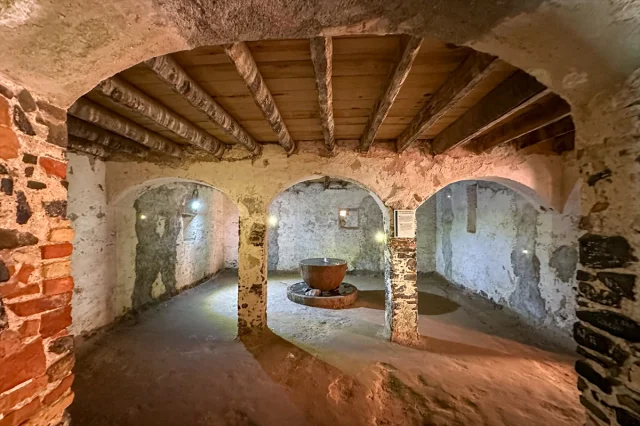 Goree Adası: İnsanlık Tarihinin Karanlık Geçmişine Tanıklık