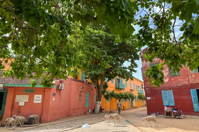 Goree Adası: İnsanlık Tarihinin Karanlık Geçmişine Tanıklık