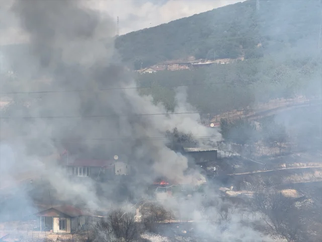 Kocaeli'deki Yangınlar Kontrol Altına Alınıyor mu