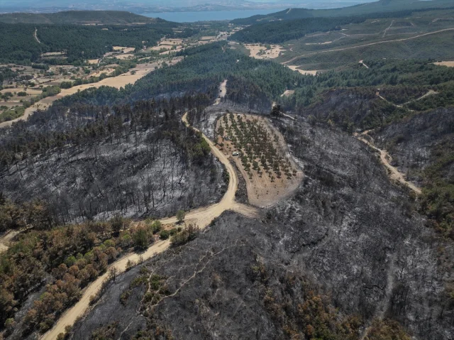 Çanakkale'deki Yangın Akıllı Tarım Uygulamalarının Önemini O...