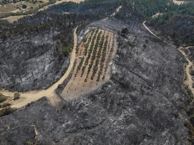 Çanakkale'deki Yangın Akıllı Tarım Uygulamalarının Önemini Ortaya Koydu