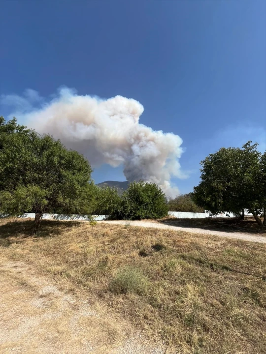 Pamukkale'deki Orman Yangını Kontrol Altına Alındı mı?