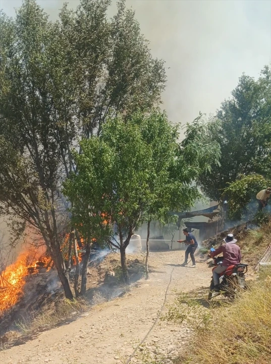 Malatya'da Orman Yangını Korkuttu: Ekipler Seferber