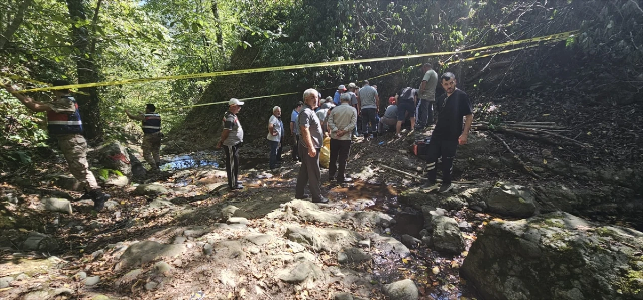 Ordu'da Fındık Topraklarında Yaşanan Talihsiz Kaza Üzüntü Yarattı