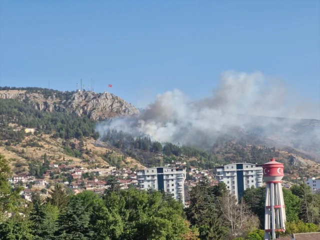 Tokat'ta Orman Yangınına Müthiş Mücadele: Kontrol Altına Alı...