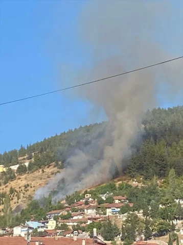 Tokat'ta Orman Yangınına Müthiş Mücadele: Kontrol Altına Alındı