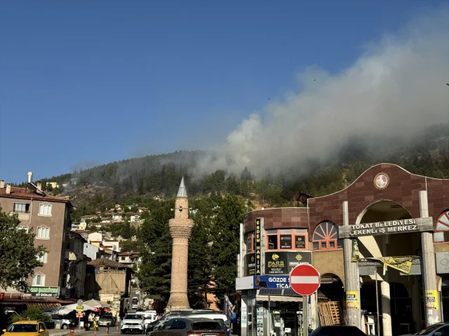 Tokat'ta Orman Yangınına Müthiş Mücadele: Kontrol Altına Alındı