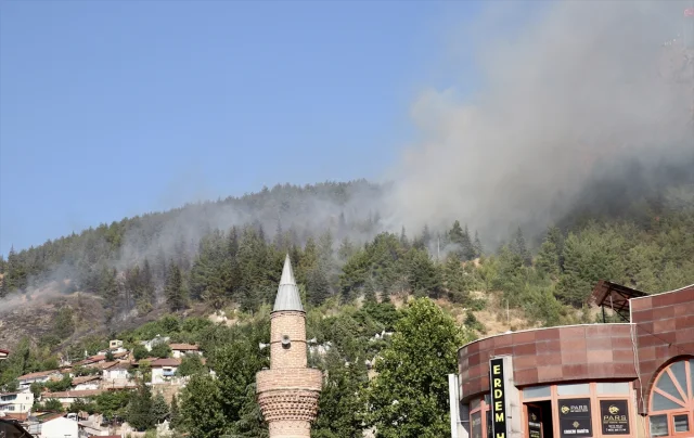 Tokat'ta Orman Yangınına Müthiş Mücadele: Kontrol Altına Alındı