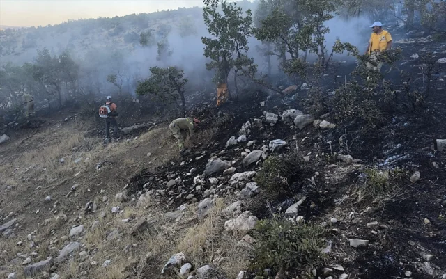 Diyarbakır'da Büyük Orman Yangını Kontrollü Şekilde Söndürül...