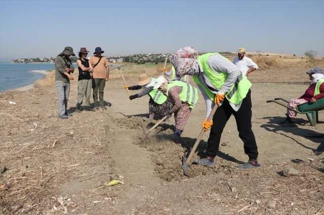 Trakya'da Kadın Arkeologlar Tarihin İzlerini Gün Yüzüne Çıkarıyor