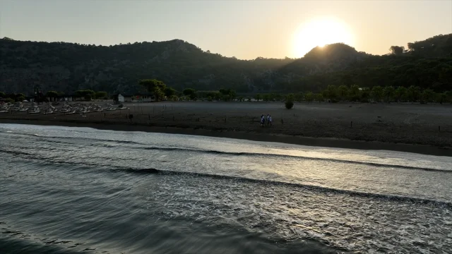Deniz Kaplumbağası Seferberliği 40 Bin Yavruyu Denize Ulaştırdı