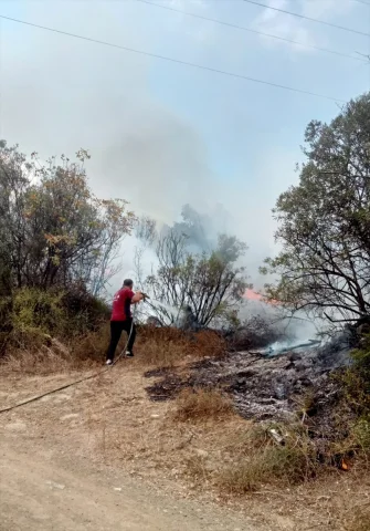 Bursa Zeytinlik Yangını Korkuttu: Alevler Nasıl Söndürüldü?