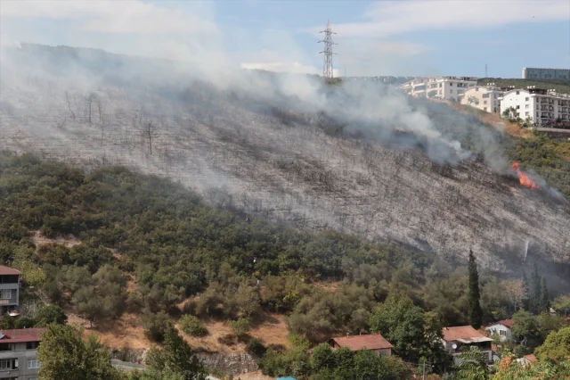 Kocaeli'de Orman Yangını: Müdahale ve Sonrası