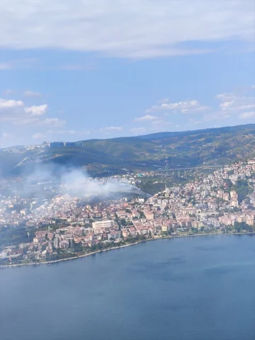 Kocaeli'de Orman Yangını: Müdahale ve Sonrası