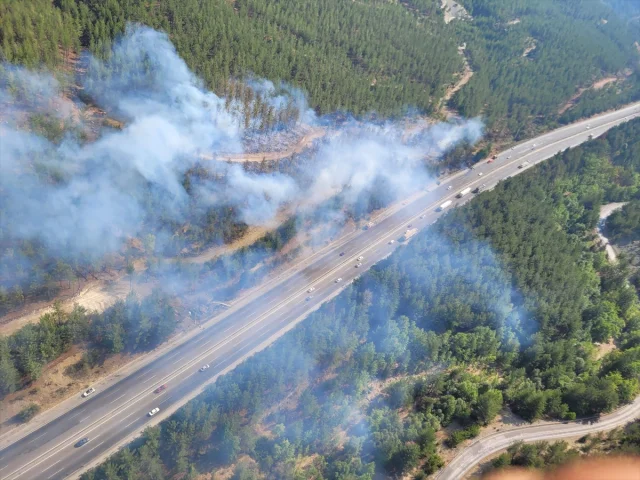 Adana'da Korkutan Yangın Ormanı Tehdit Etti