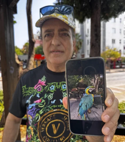 Antalya'da Bir Papağanın Dramatik Kayıp Hikayesi