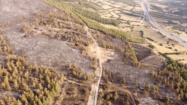 Pamukkale'de Korkutan Anlar: Orman Yangını Son Anda Kontrol Altına Alındı