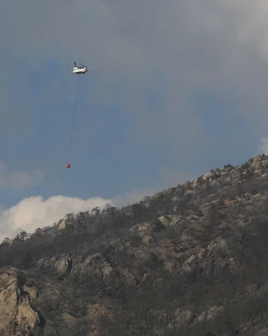 Pamukkale'de Korkutan Anlar: Orman Yangını Son Anda Kontrol Altına Alındı