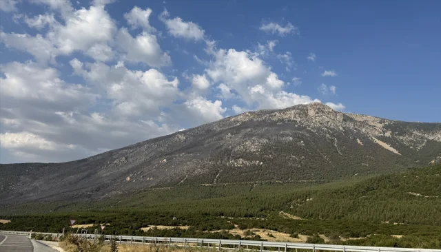 Pamukkale'de Korkutan Anlar: Orman Yangını Son Anda Kontrol Altına Alındı