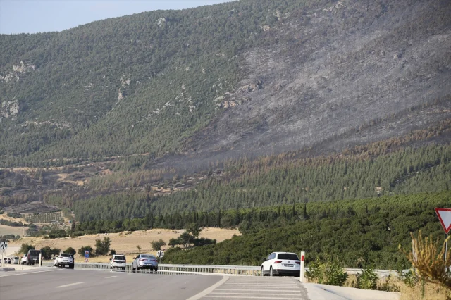 Pamukkale'de Korkutan Anlar: Orman Yangını Son Anda Kontrol Altına Alındı